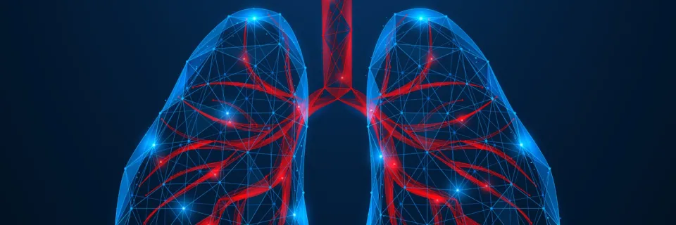 Poumons - maladies bronchiques