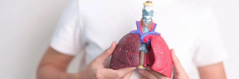 poumon - Service de pneumologie aux HUG