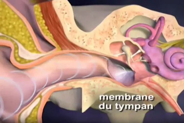 membrane du tympan