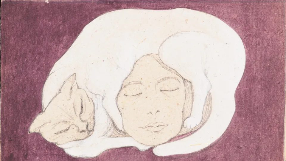 Illustration colloque du centre de médecine du sommeil