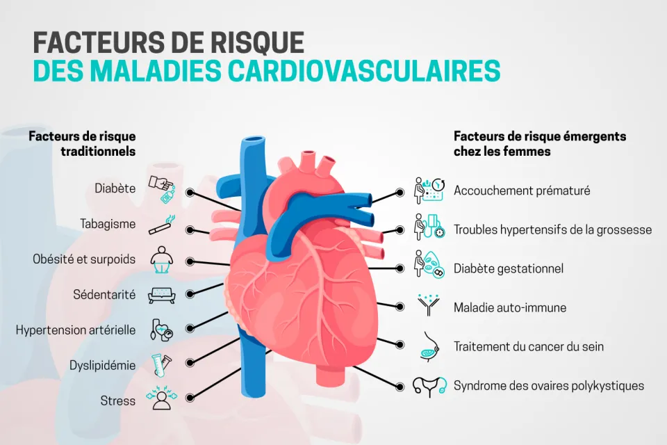 Facteurs de risque des maladies cardiovasculaires