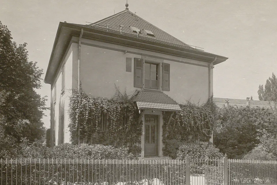 Petite maison, façade à moitié couverte de plantes grimpantes, clôture métallique.