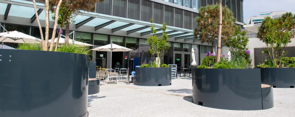 Plantation devant les HUG - Copyright : HUG - Julien Gregorio