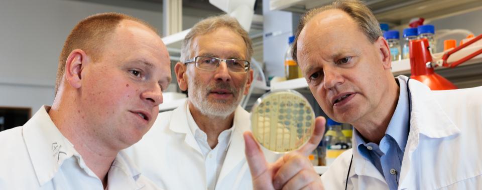 Bacteriophages : Christian van Delden, Thilo Köhler et Alexandre Luscher - Copyright : Jonathan Imhof/ HUG