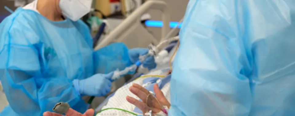 douze mois film covid