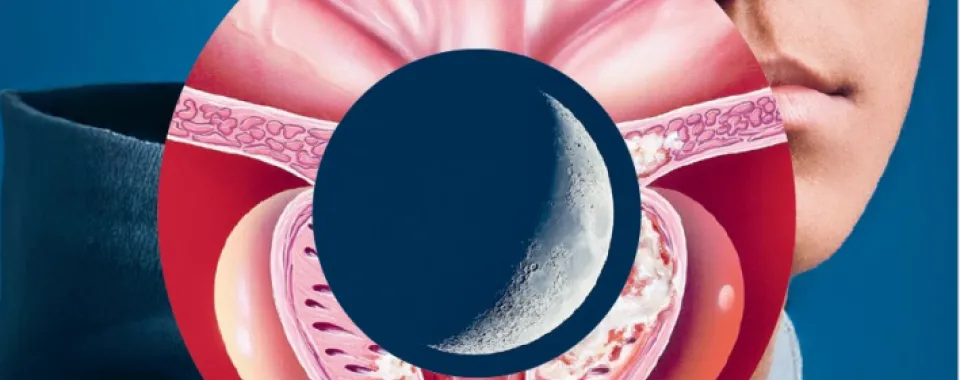 Couverture du Pulsations Magazine octobre-décembre 2025