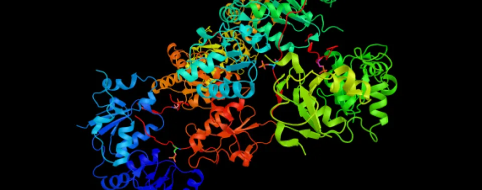 Représentation en 3D de la structure du gène BRCA1 © istock