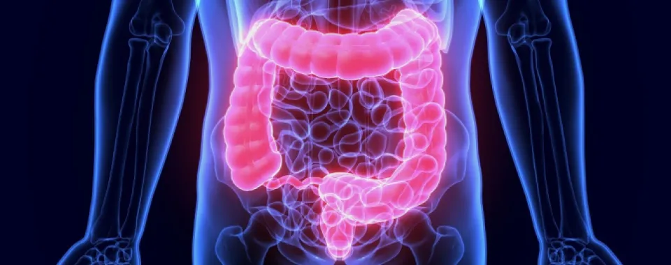 Mars Bleu : prévenir, dépister et soigner les cancers colorectaux - HUG