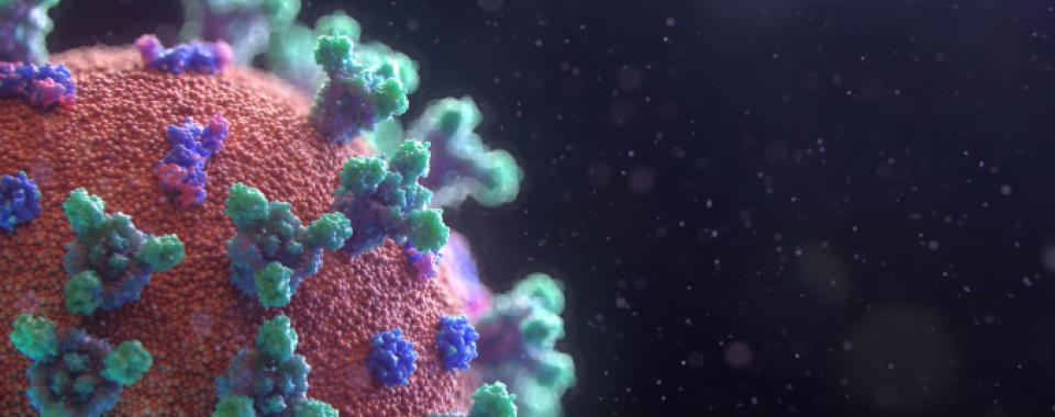  Deux failles potentielles dans la cuirasse du coronavirus - Photo by Fusion Medical Animation on Unsplash