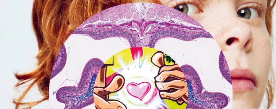 Pulsations juillet - septembre 2023