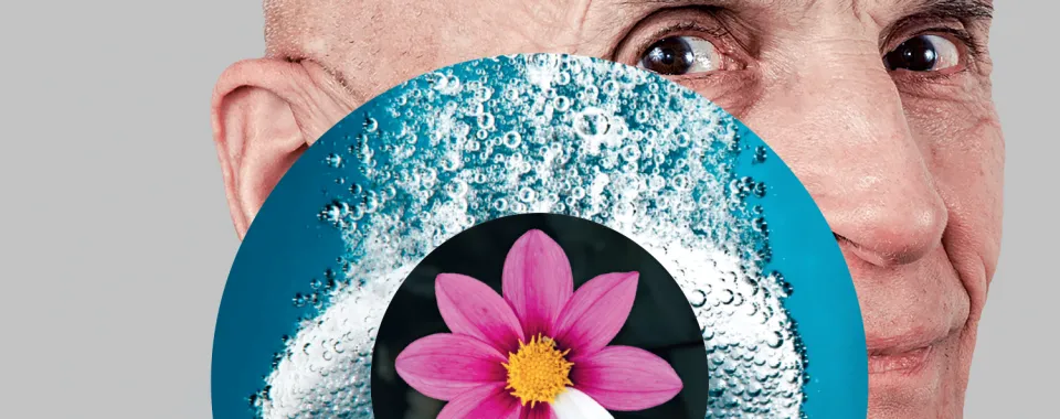 Banner Pulsations juillet-septembre