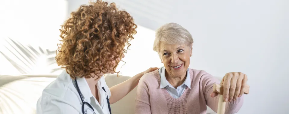 New perspectives on understanding, preventing and treating vascular dementia