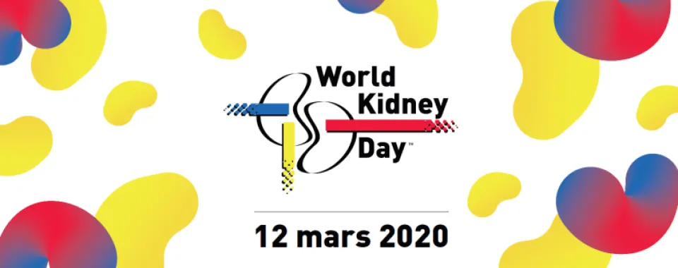 Journée mondiale du rein : dépistage de l’insuffisance rénale : les HUG à la rencontre du public