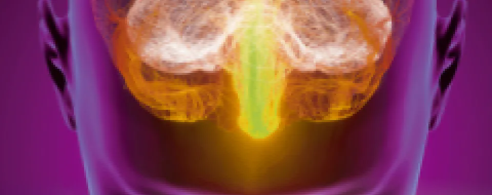 Lien confirmé entre la maladie d’Alzheimer et le microbiote intestinal