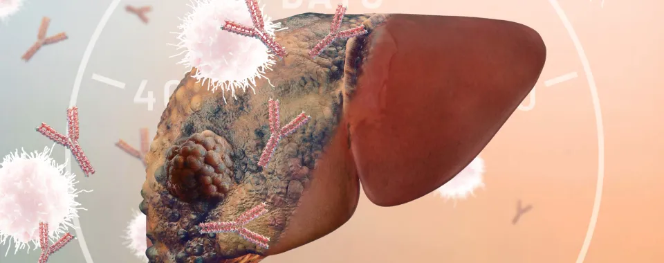 Veronika Mertens de « Mertens Design Lab »