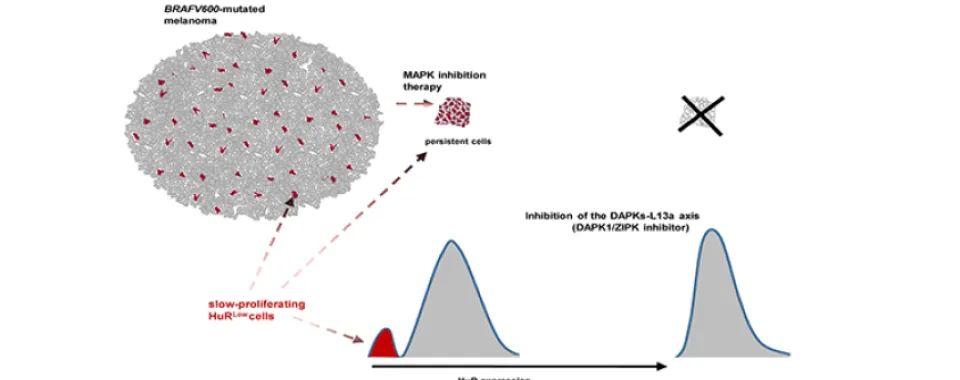 © UNIGE – Rastine Merat