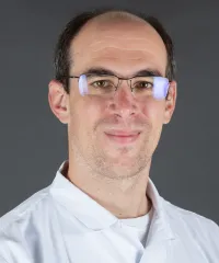 M. Alexandre Guerreiro