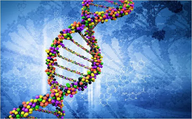 Evaluation de la qualité de l’information donnée aux patients